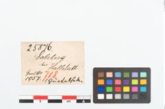 Etikett zu Bronzegürtelhaken (NHMW-PRAE-025876)